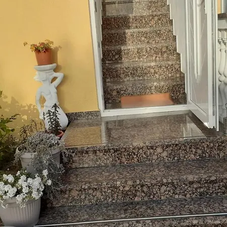 Leon * Zadar